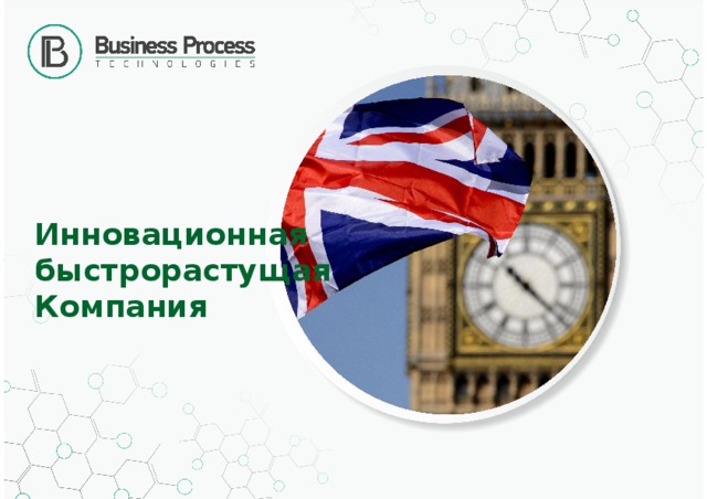 Инновационная  быстрорастущая Компания 