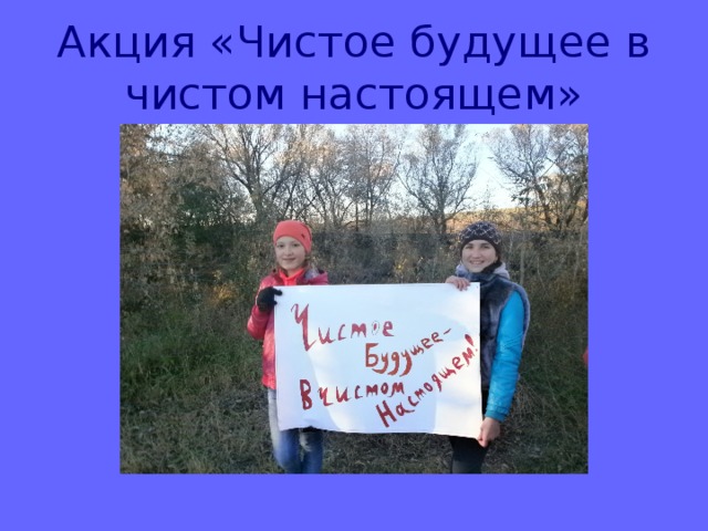 Проект чистый школьный двор