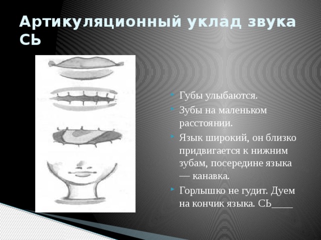 Артикуляционный уклад звука СЬ Губы улыбаются. Зубы на маленьком расстоянии. Язык широкий, он близко придвигается к нижним зубам, посередине языка — канавка. Горлышко не гудит. Дуем на кончик языка. СЬ____ 