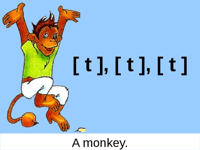 [ t ], [ t ], [ t ] A monkey. 