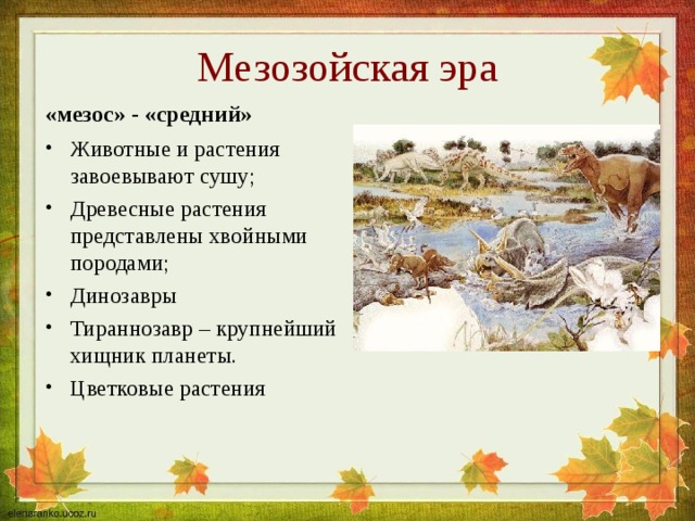 Мезозойская эра растения примеры