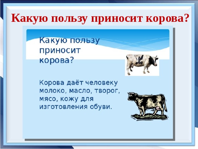 Коровы отвечают на вопрос. Какую пользу приносит корова. Какую пользу приносит корова человеку. Животные которые приносят пользу. Информация о корове.