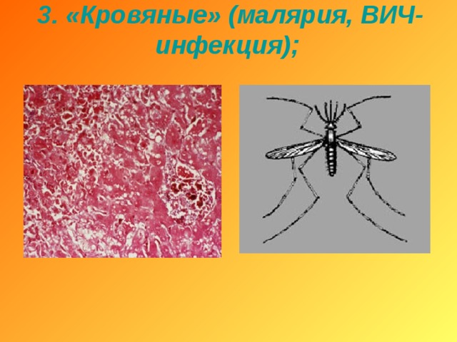 3. «Кровяные» (малярия, ВИЧ-инфекция);   