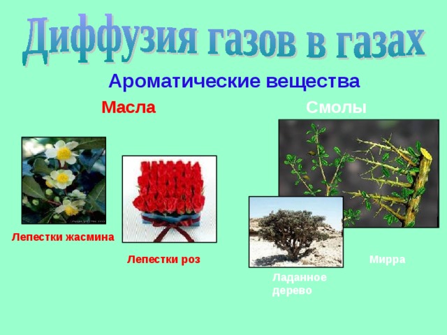 Укажите пример диффузии в газах