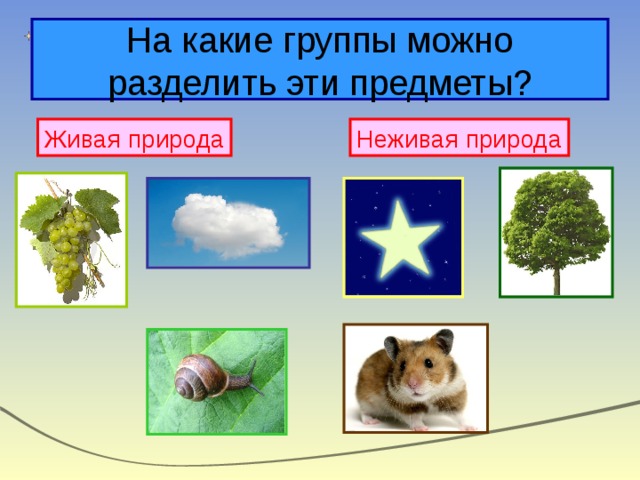 На какие группы можно разделить эти предметы? Живая природа Неживая природа 