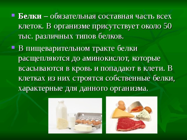 Пищеварительный белок. Белки обязательная составная часть всех клеток. Составные части белков. В пищеварительном тракте белки расщепляются до. Белки в клетках организма.