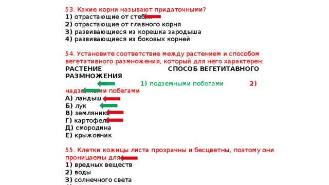 53. Какие корни называют придаточными? 1) отрастающие от стебля 2) отрастающие от главного корня 3) развивающиеся из корешка зародыша 4) развивающиеся из боковых корней 54. Установите соответствие между растением и способом вегетативного размножения, который для него характерен: РАСТЕНИЕ СПОСОБ ВЕГЕТИТАВНОГО РАЗМНОЖЕНИЯ  1) подземными побегами 2) надземными побегами А) ландыш Б) лук В) земляника Г) картофель Д) смородина Е) крыжовник 55. Клетки кожицы листа прозрачны и бесцветны, поэтому они проницаемы для 1) вредных веществ 2) воды 3) солнечного света 4) кислорода 