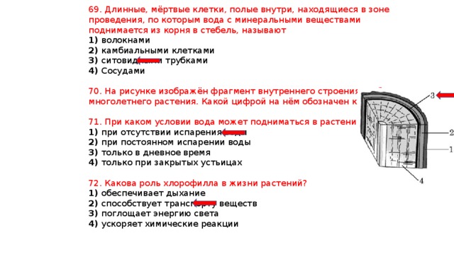 69. Длинные, мёртвые клетки, полые внутри, находящиеся в зоне проведения, по которым вода с минеральными веществами поднимается из корня в стебель, называют 1) волокнами 2) камбиальными клетками 3) ситовидными трубками 4) Сосудами 70. На рисунке изображён фрагмент внутреннего строения стебля многолетнего растения. Какой цифрой на нём обозначен камбий? 71. При каком условии вода может подниматься в растении вверх? 1) при отсутствии испарения воды 2) при постоянном испарении воды 3) только в дневное время 4) только при закрытых устьицах 72. Какова роль хлорофилла в жизни растений? 1) обеспечивает дыхание 2) способствует транспорту веществ 3) поглощает энергию света 4) ускоряет химические реакции 