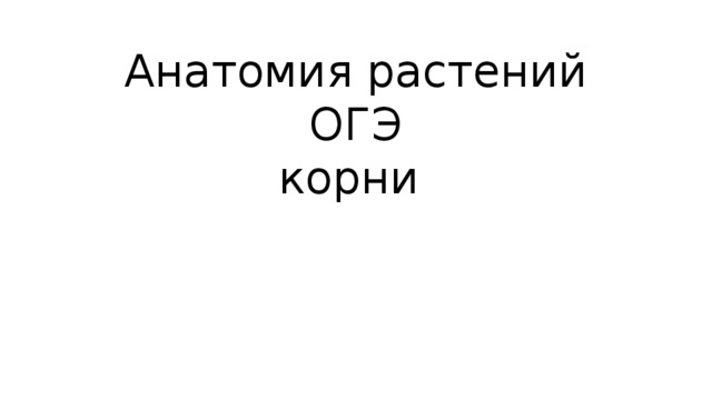 Анатомия растений ОГЭ  корни 