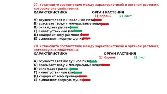 27. Установите соответствие между характеристикой и органом растения, которому она свойственна: ХАРАКТЕРИСТИКА ОРГАН РАСТЕНИЯ   1) Корень 2) лист А) осуществляет минеральное питание Б) всасывает воду и минеральные вещества В) охлаждает растение Г) имеет устьичные клетки Д) содержит зону размножения Е) выполняет якорную функцию 28. Установите соответствие между характеристикой и органом растения, которому она свойственна: ХАРАКТЕРИСТИКА ОРГАН РАСТЕНИЯ  1) Корень 2) лист А) осуществляет воздушное питание Б) всасывает воду и минеральные вещества В) охлаждает растение Г) имеет устьичные клетки Д) содержит зону проведения Е) выполняет якорную функцию 