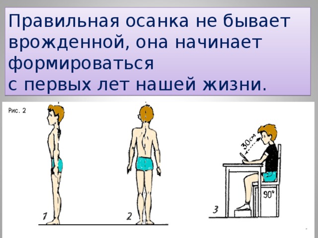 Как сформировать правильную осанку презентация