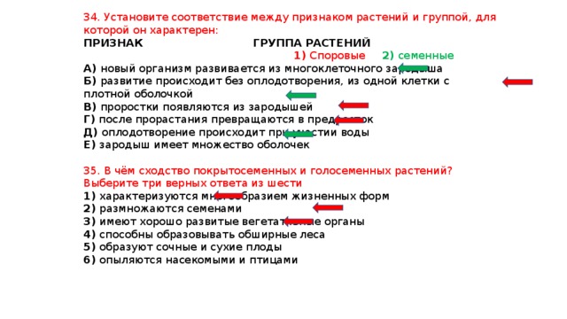 Установите соответствие между группами растений. Установите соответствие споровые семенные. Установите соответствие между признаками и группами растений.. Установить соответствия растения и группа.