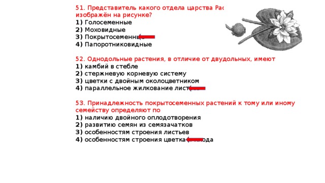 Представители какого отдела царства растения изображены на рисунке покрытосеменные моховидные