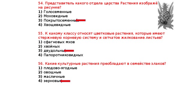 Представители какого отдела царства растения изображены на рисунке покрытосеменные моховидные