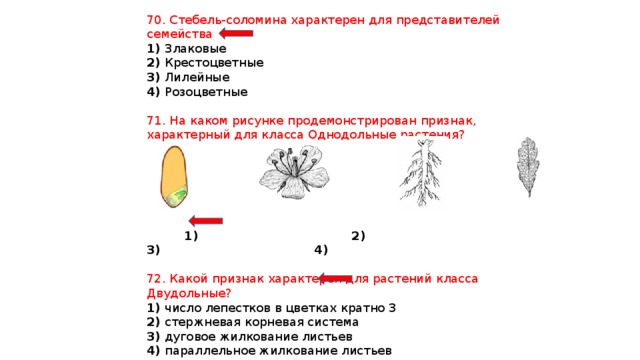 Признаки каких растений изображены на рисунке