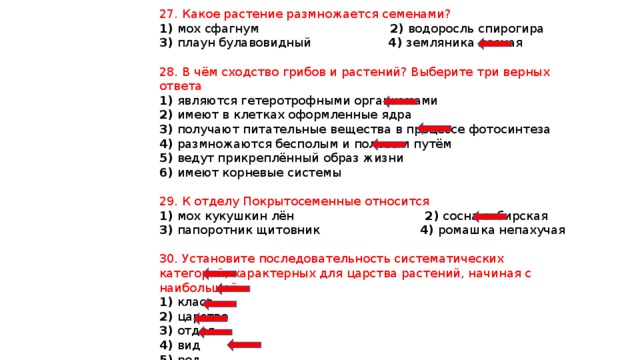 Установите соответствие между признаком растения и отделом