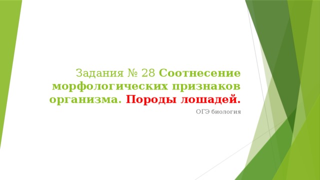 Задания № 28 Соотнесение морфологических признаков организма. Породы лошадей. ОГЭ биология 