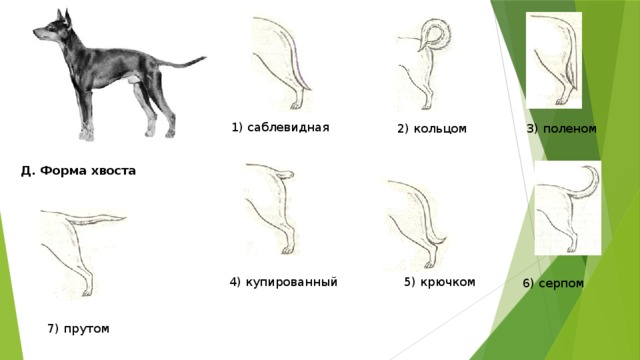 Купировать это простыми словами