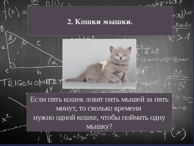 Ловят пять мышей за пять минут. Если пять кошек ловят пять мышей за пять минут. Если 5 кошек ловят 5 мышей. 5 Кошек ловят 5 мышек за 5 минут. Если 5 кошек ловят 5 мышей за 5 минут то сколько времени нужно 1 кошке.