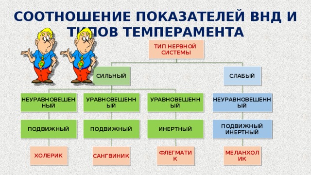 Как темперамент влияет на выбор профессии презентация