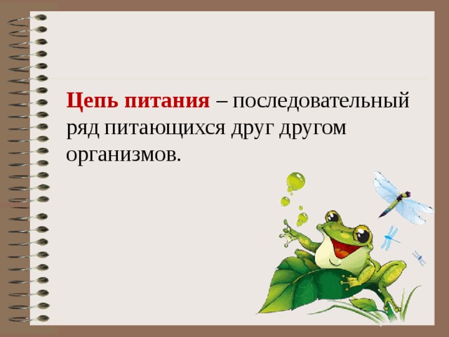    Цепь питания  – последовательный ряд питающихся друг другом организмов. 