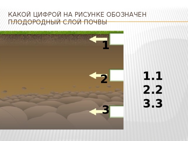 Какой цифрой на рисунке обозначен плодородный слой почвы 1 1 2 3 2 3 