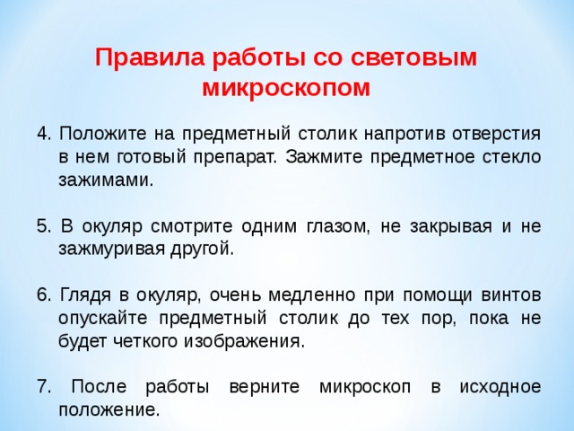 Как правильно подготовить презентацию к уроку по естествознанию