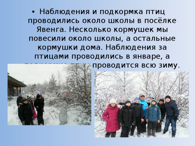 Проект подкормка птиц зимой