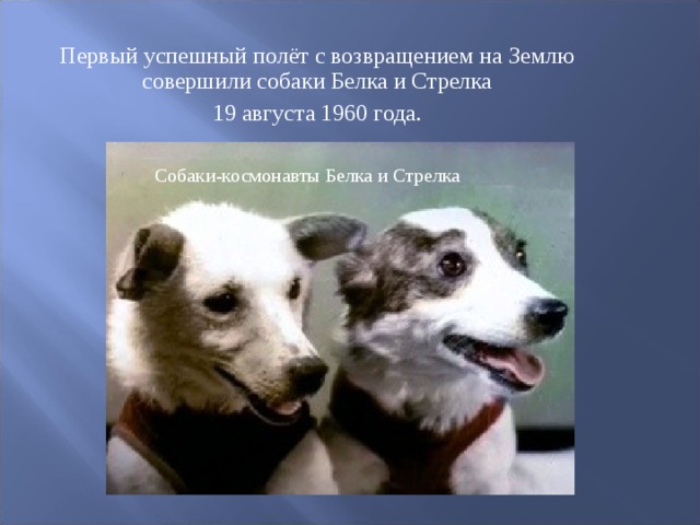 Первый успешный полёт с возвращением на Землю совершили собаки Белка и Стрелка  19 августа 1960 года. Собаки-космонавты Белка и Стрелка 