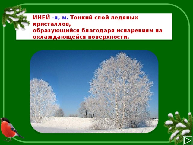 Иней определение. Иней словарь. Иней это определение. Обозначение слова иней. Иней словарное слово.