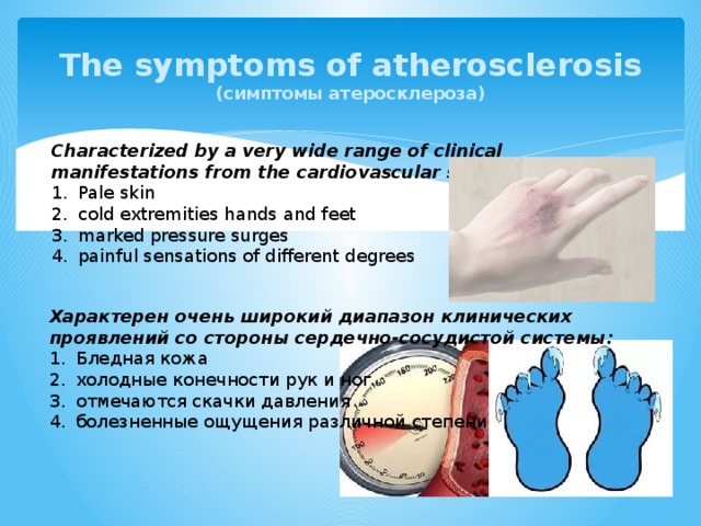 The symptoms of atherosclerosis  (симптомы атеросклероза) Characterized by a very wide range of clinical manifestations from the cardiovascular system: Pale skin cold extremities hands and feet marked pressure surges painful sensations of different degrees Характерен очень широкий диапазон клинических проявлений со стороны сердечно-сосудистой системы: Бледная кожа холодные конечности рук и ног отмечаются скачки давления болезненные ощущения различной степени 