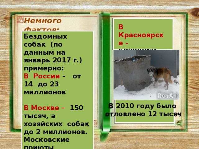 Немного фактов: В Красноярске –  в источниках выявить не удалось Бездомных собак (по данным на январь 2017 г.) примерно:  В России – от 14 до 23 миллионов  В Москве – 150 тысяч, а хозяйских собак до 2 миллионов. Московские приюты вмещают от 12 до 25тысяч голов. В 2010 году  было   отловлено  12 тысяч