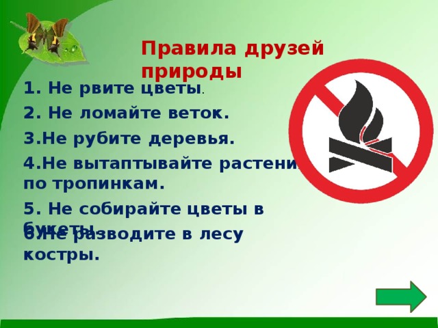 Правила друзей природы 1. Не рвите цветы . 2. Не ломайте веток. 3.Не рубите деревья. 4.Не вытаптывайте растения, ходите по тропинкам. 5. Не собирайте цветы в букеты. 6.Не разводите в лесу костры. 