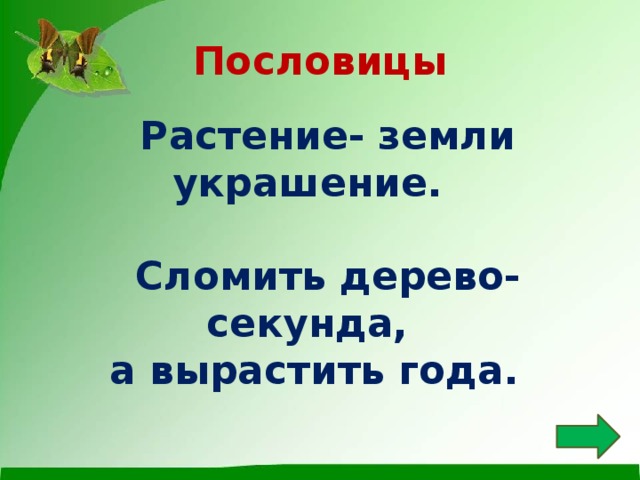 Загадки о земле и растениях