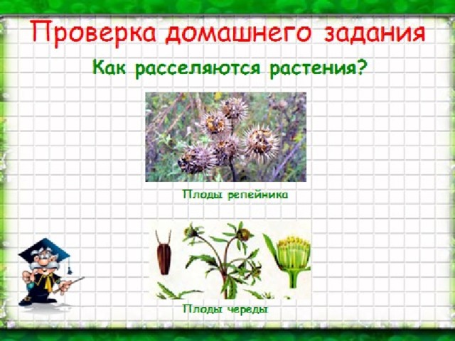 Сад содержащий коллекции охраняемых растений. Охрана растений задания. Охрана растений презентация 6 класс. Охрана растений 3 класс окружающий мир. Задание по окружающему миру охрана растений.