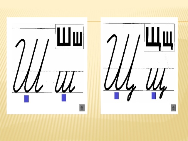 Строчная буква ш. Буква щ письменная. Написание буквы щ. Буква ш письменная. Дифференциация букв ш и щ.