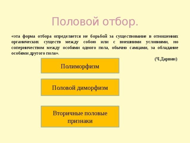 Половой отбор. «эта форма отбора определяется не борьбой за существование в отношениях органических существ между собою или с внешними условиями, но соперничеством между особями одного пола, обычно самцами, за обладание особями другого пола».  (Ч.Дарвин) Полиморфизм Половой диморфизм Вторичные половые признаки 