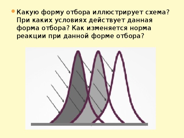 Какую форму отбора иллюстрирует данный рисунок. Норма реакции форма отбора. Дизруптивный отбор норма реакции.