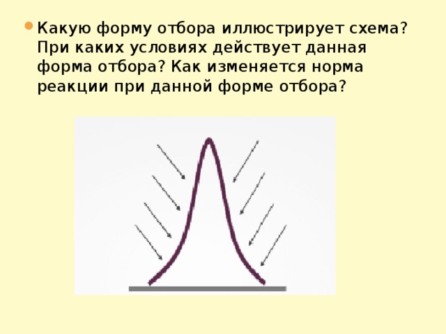 Какая форма отбора представлена на рисунке по каким