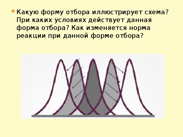 Какая форма отбора представлена на рисунке по каким