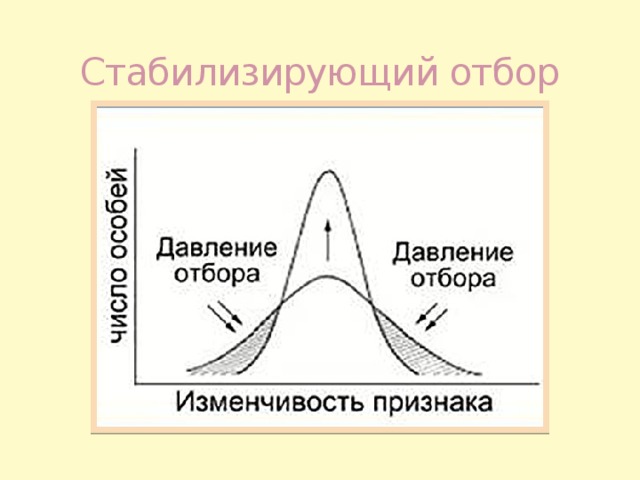 Схема стабилизирующего отбора