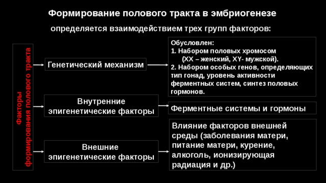 Факторы формирования полового тракта Формирование полового тракта в эмбриогенезе определяется взаимодействием трех групп факторов: Обусловлен: 1. Набором половых хромосом  (ХХ – женский, ХY- мужской). 2. Набором особых генов, определяющих тип гонад, уровень активности ферментных систем, синтез половых гормонов. Генетический механизм Внутренние эпигенетические факторы Ферментные системы и гормоны Влияние факторов внешней среды (заболевания матери, питание матери, курение, алкоголь, ионизирующая радиация и др.) Внешние эпигенетические факторы 