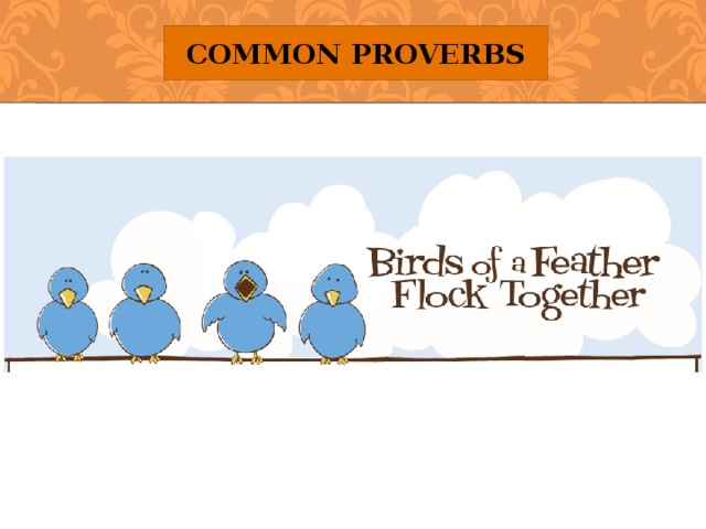 Common Proverbs 