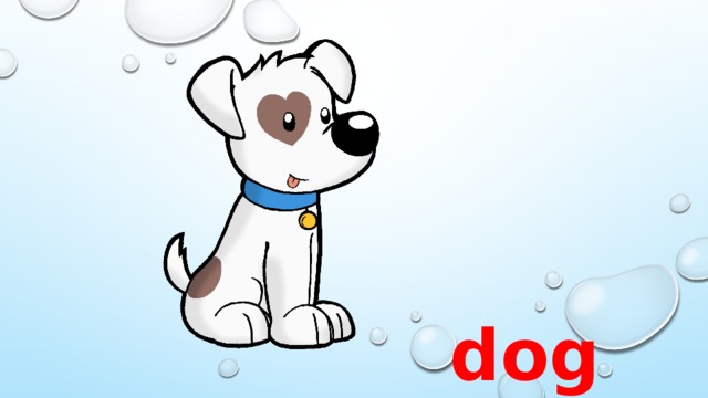 dog 