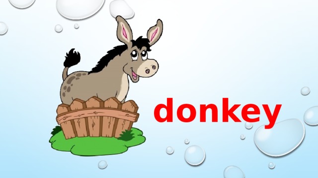 donkey 