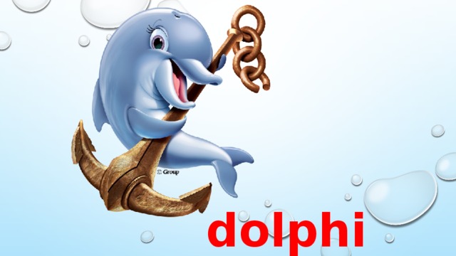 dolphin 