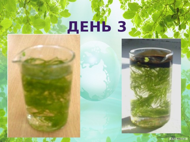 ДЕНЬ 3 