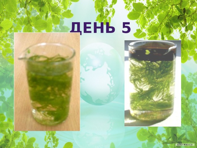 ДЕНЬ 5 