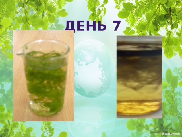 ДЕНЬ 7 