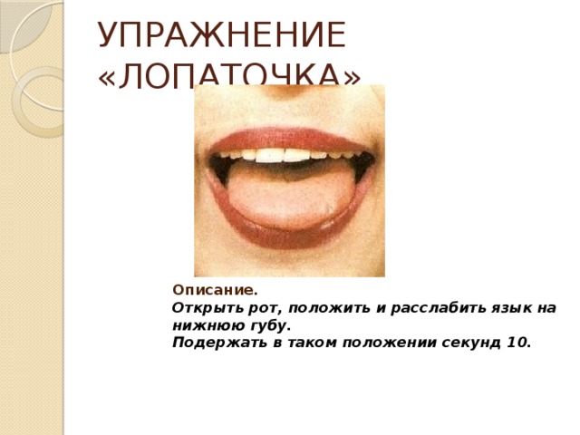 Лопатка артикуляционная гимнастика картинка